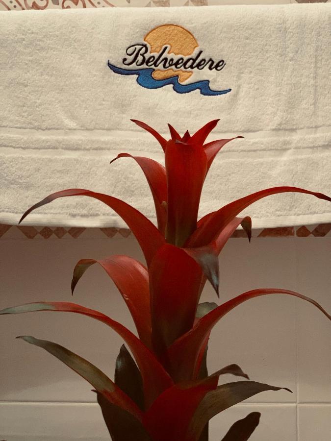 Casa Vacanze Belvedere Apartment Partinico Bagian luar foto